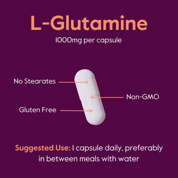 BESTVITE L-Glutamine 1000mg per Capsule (240 Capsules) - Free Form - No Stearates - No Fillers - Gluten Free - Non GMO - Pure L Glutamine Supplement - Maximum Strength Glutamine Capsules - Image 5