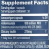 Akkermansia Probiotic with Prebiotic Fiber ，Increases GLP-1 Production,100M AFU Live Strain for Gut Health for Men & Women (60 Capsules-1bottle) - Image 2