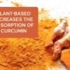 Smarter Nutrition Curcumin Softgels - Potent & Bioavailable, Active Curcumin Standardized to 95% Tetrahydrocurcuminoids with AstraGin Black Cumin Seed Oil & Ginger (60 Count (Pack of 1) - Image 5