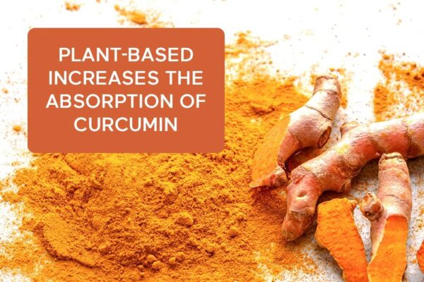 Smarter Nutrition Curcumin Softgels - Potent & Bioavailable, Active Curcumin Standardized to 95% Tetrahydrocurcuminoids with AstraGin Black Cumin Seed Oil & Ginger (60 Count (Pack of 1) - Image 5