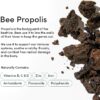 Propolis Throat Spray by Beekeeper's Naturals - 95% Bee Propolis Extract, Natural Immune Support & Sore Throat Relief - Antioxidants, Keto, Paleo, Gluten-Free (1.06 oz)(Pack of 1) - Image 3