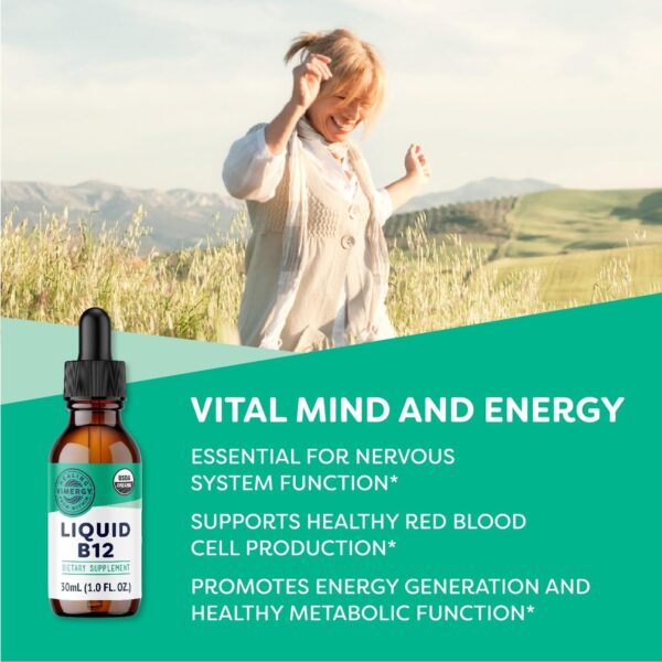 Vimergy Liquid B12 – Fast-Absorbing Brain Support – Energy Support Supplement – USDA Certified Organic, Vegan, Non-GMO – 30 Servings (30 mL) - Image 3