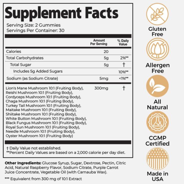 Auri Super Mushroom Daily Gummies - All-in-One Daily Mushroom Supplement Gummy - 12 Mushroom Blend with Chaga, Lions Mane, Reishi, Cordyceps - 60 Gummies - Image 2