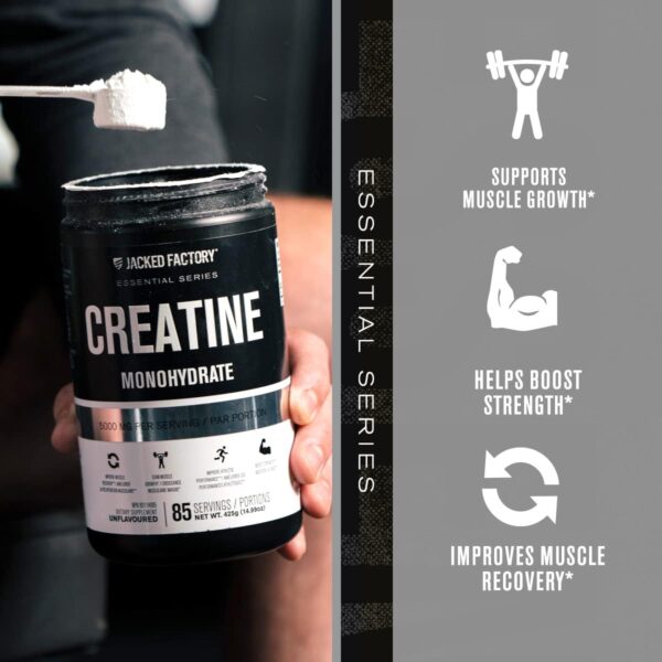 Jacked Factory Creatine Monohydrate Powder 425g - Creatine Supplement for Muscle Growth, Increased Strength, Enhanced Energy Output and Improved Athletic Performance 85 Servings, Unflavored - Image 6