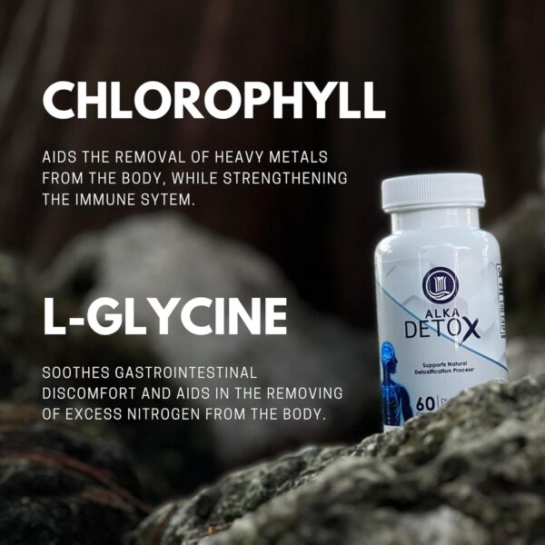 Chlorella, L - glycine, Dandelion Root. Enchances Immune Function, Gut Health. Aids in reducing inflamation. Alkaline Body Detox from Heavy Metals, aids Liver and Kidney Health. 60 Capsules - Image 5