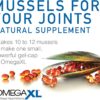 OmegaXL Joint Support Supplement - Natural Muscle Support, Green Lipped Mussel Oil, Soft Gel Pills, Drug-Free, 300 Count - Image 7