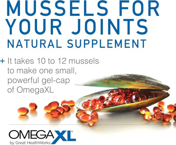 OmegaXL Joint Support Supplement - Natural Muscle Support, Green Lipped Mussel Oil, Soft Gel Pills, Drug-Free, 300 Count - Image 7